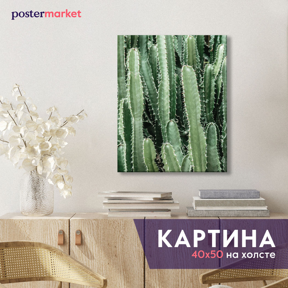 Картина на холсте Postermarket "Кактусы", 40х50 см #1