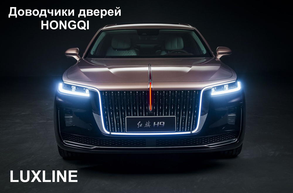 Доводчики дверей LUXLINE для HONGQI на 4 двери #1