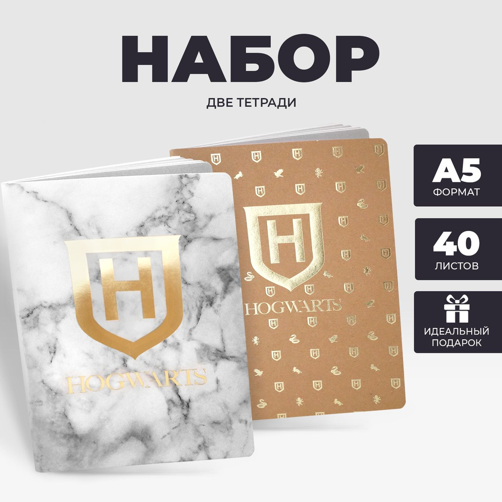  Набор тетрадей A5 (14.8 × 21 см), листов: 40 #1