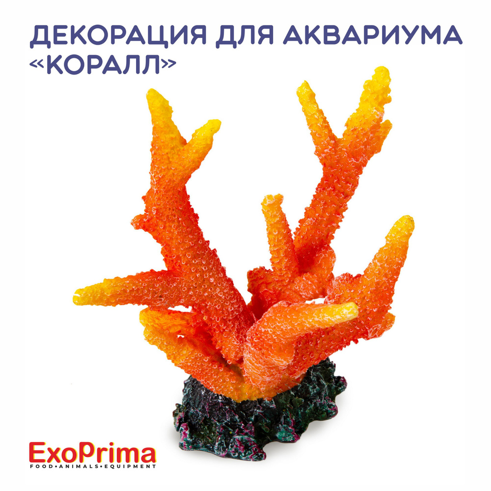 Декорация для аквариума EXOPRIMA "Коралл", оранжевая, 12х10х13см  #1