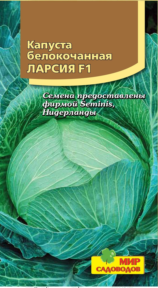 Семена Капуста белокочанная "Ларсия F1". 10шт семян в 1 упаковке  #1