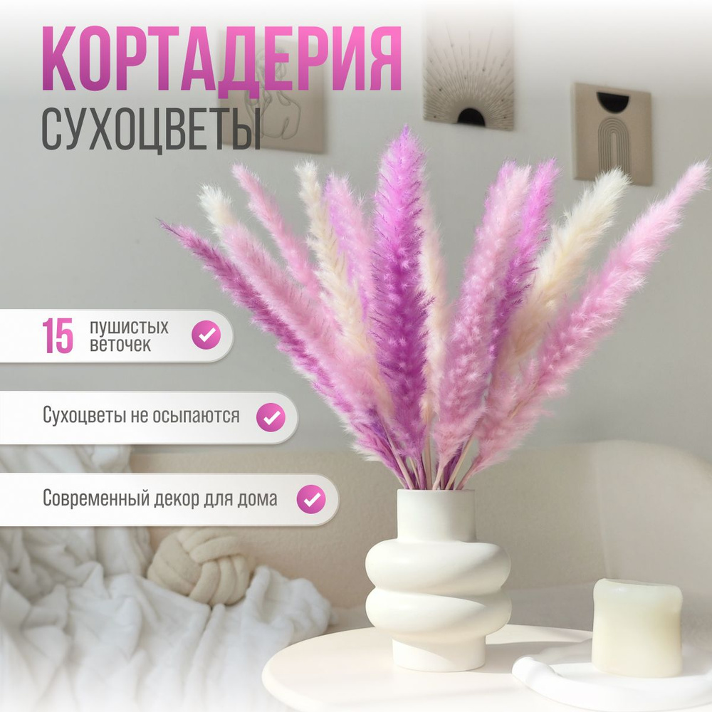 Сухоцветы для декора, 15 шт. Букет сухоцветов. Кортадерия  #1