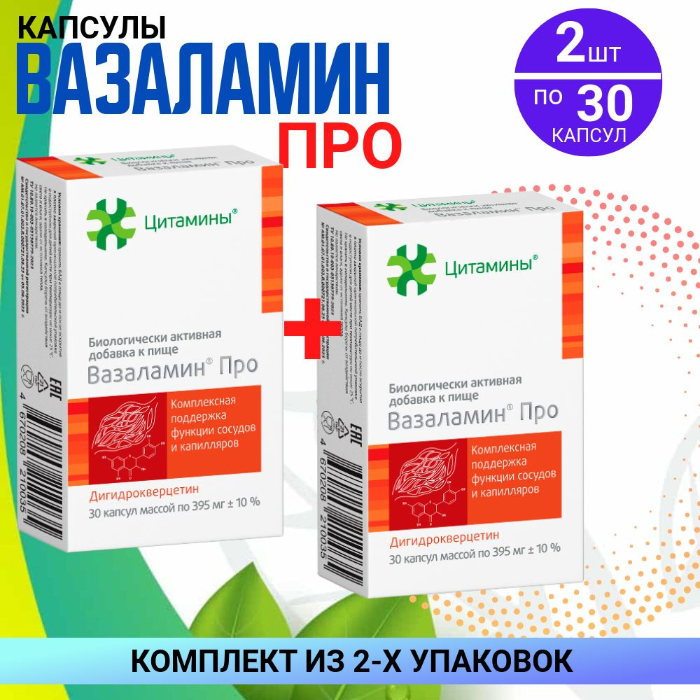 Вазаламин Про, капсулы массой 395 мг, 2 упаковки по 30 шт, КОМПЛЕКТ ИЗ 2х упаковок  #1