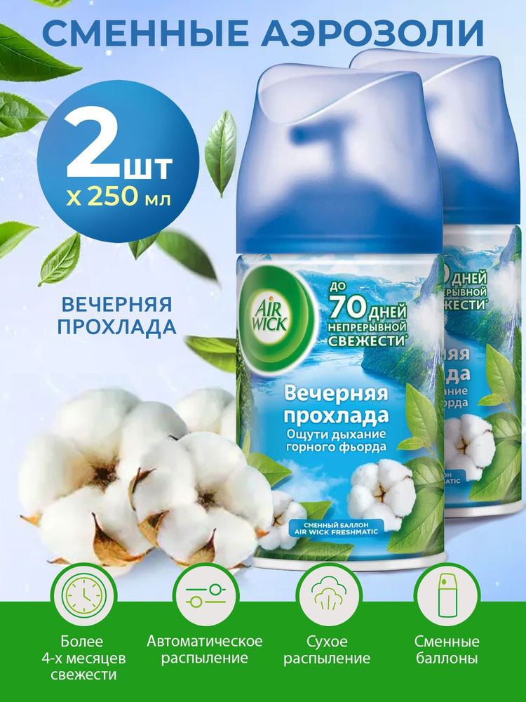 Набор 2 шт*250мл Сменный баллон для автоматического аэрозоля Вечерняя прохлада  #1