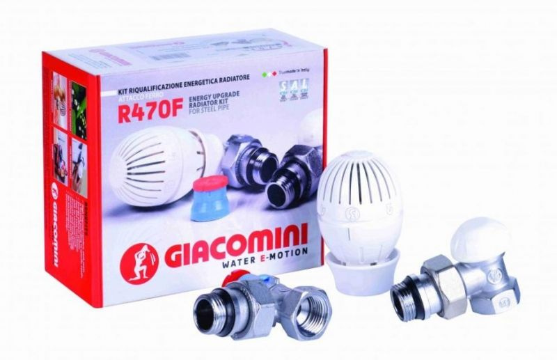 Комплект термостатический GIACOMINI R470F угловой 1/2'' R470FX003 #1