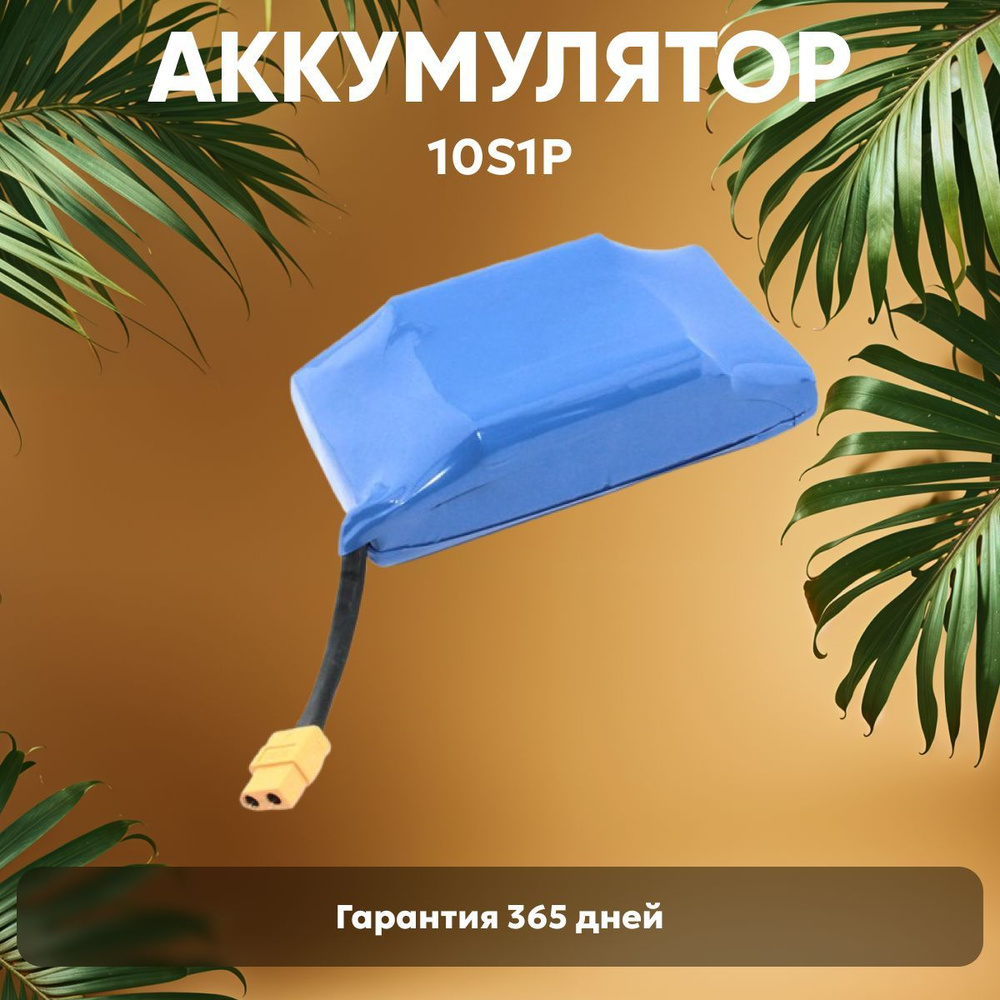 10S1P Аккумулятор для гироскутера, электроскутеров, 36V, 2200 mAh, Li-ion  #1