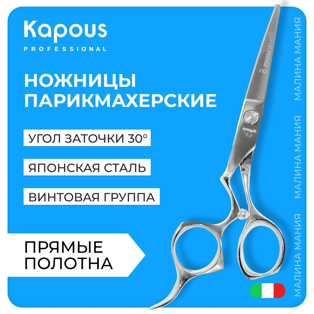 KAPOUS Ножницы парикмахерские PRO-SCISSORS S, прямые 5.5 #1