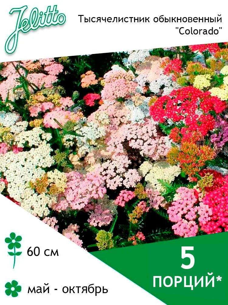 Семена Jelitto Тысячелистник обыкновенный "Colorado" (ACHILLEA millefolium "Colorado") 5 порций  #1