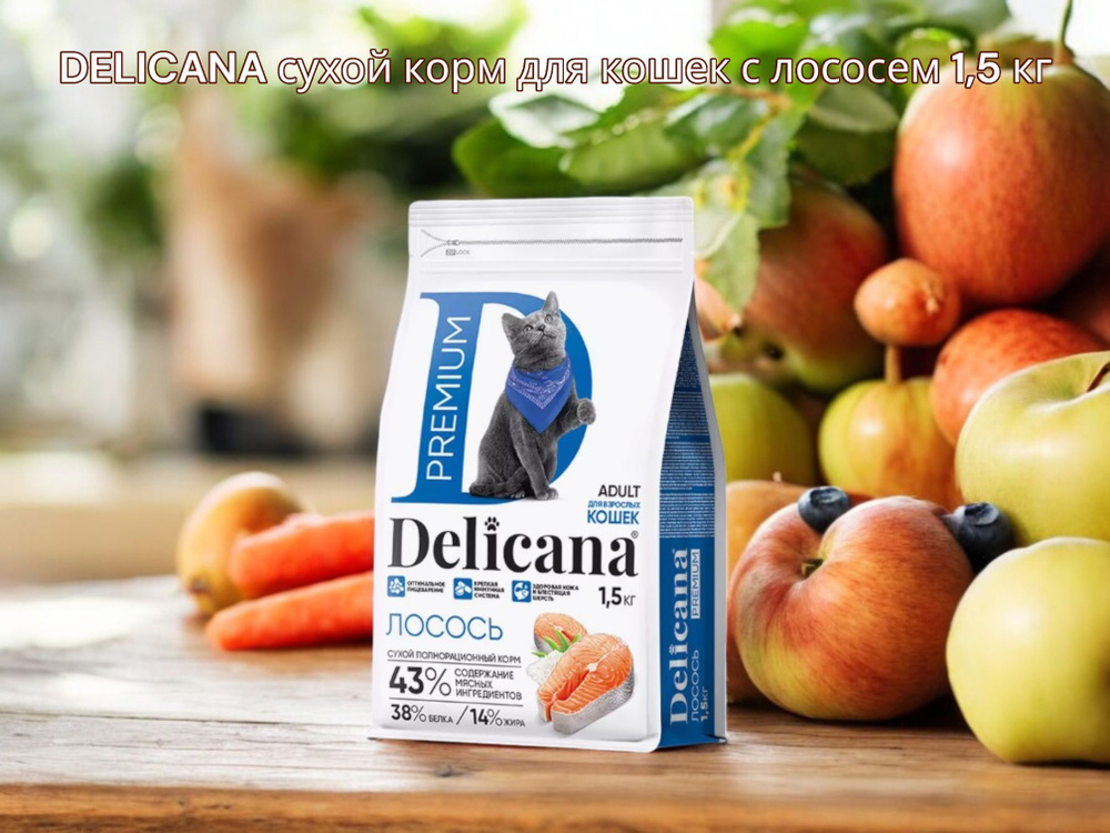 DELICANA 1,5 КГ сухой корм для взрослых кошек с лососем #1