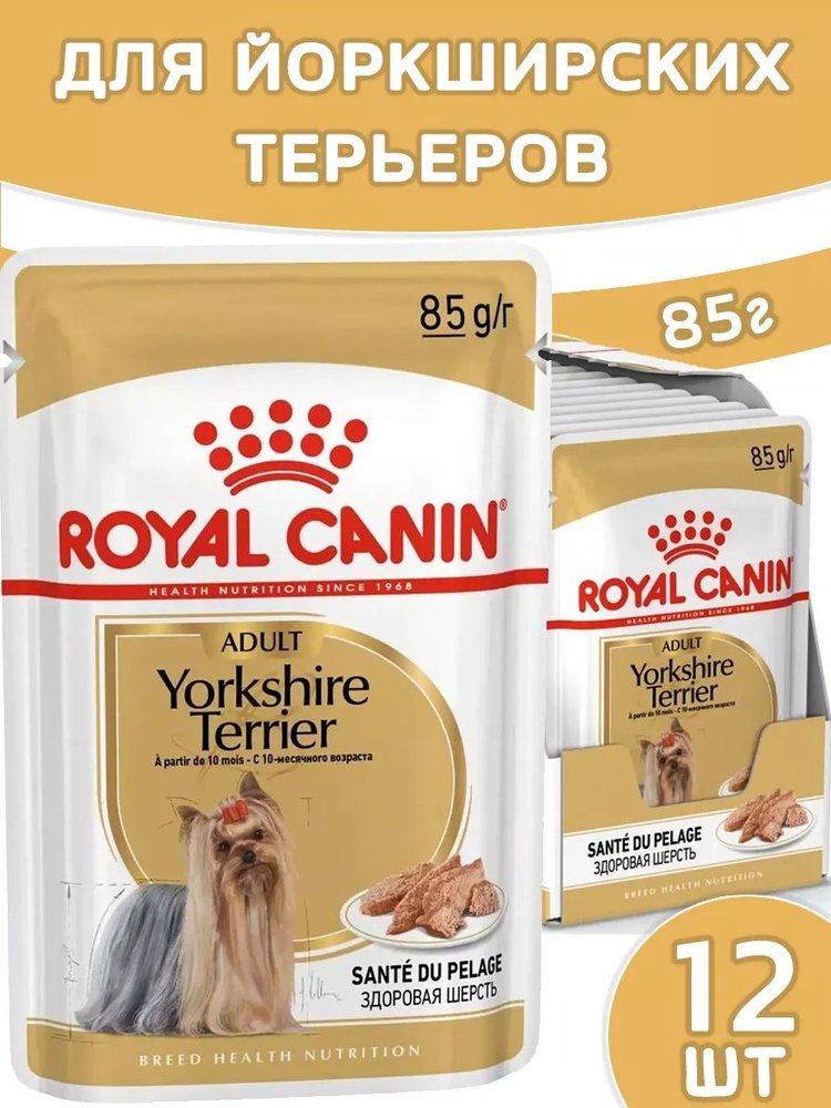 Yorkshire Terrier Adult для собак 85г х 12шт для йорков #1