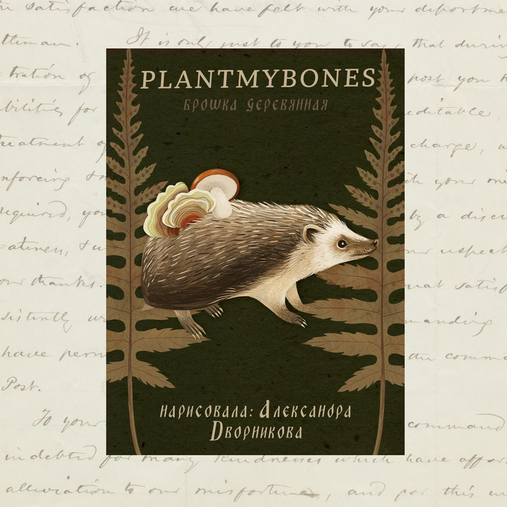 Деревянная брошь PlantMyBones, значок из дерева на замке-булавке: Ёжик  #1