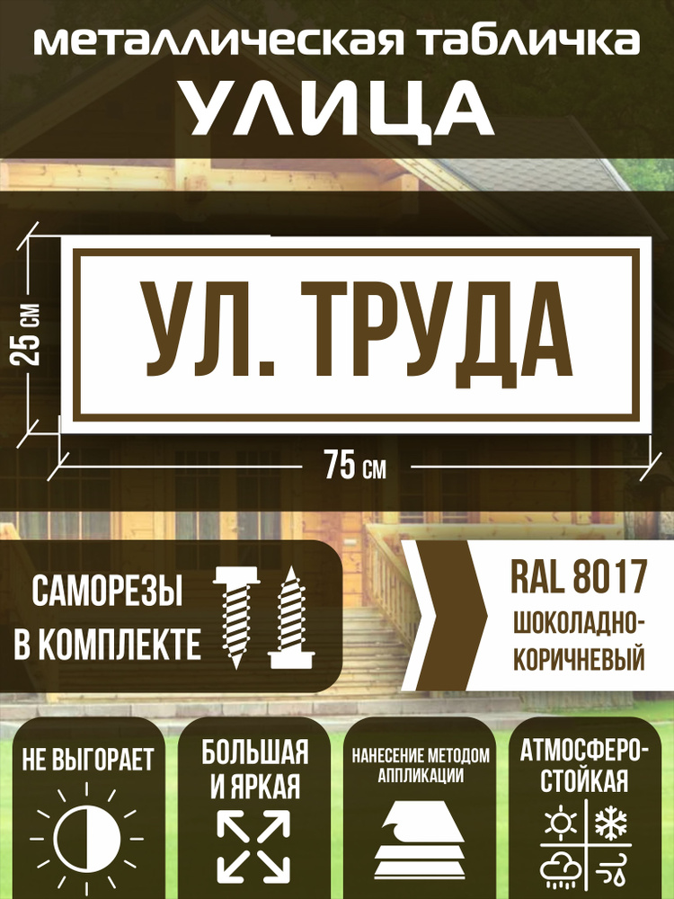 Адресная табличка на дом улица Труда RAL 8017 коричневая #1