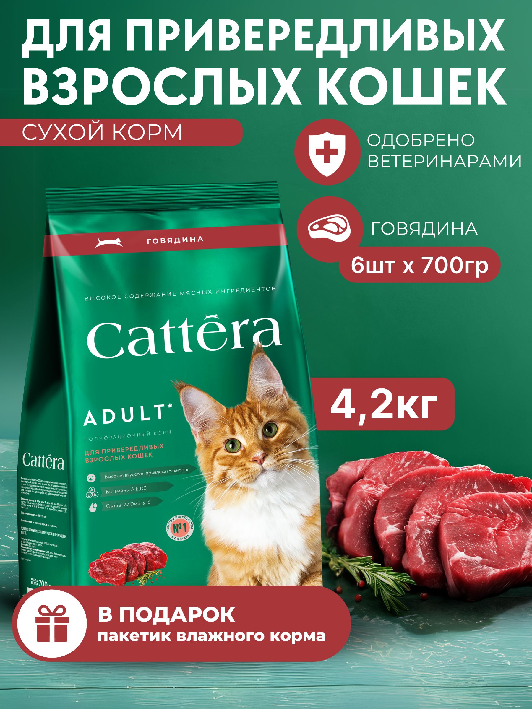 КормдлякошексухойCATTERAполнорационныйдлявзрослыхкошексговядиной,700гр,6шт+1влажный