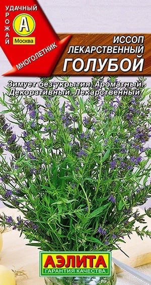 ИССОП ЛЕКАРСТВЕННЫЙ ГОЛУБОЙ. Семена . Вес 0,1 гр. Многолетний полукустарник с сильным приятным бальзамическим #1