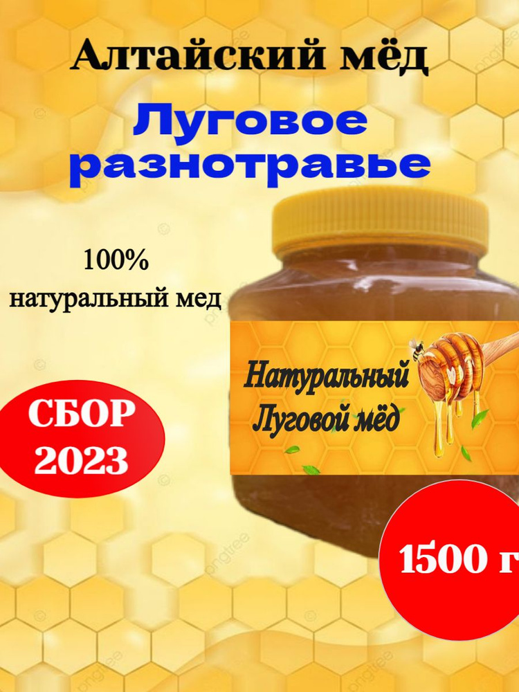 Мед 1 литр. Алтайский луговое разнотравье(сбор 2023г). 1.5кг  #1