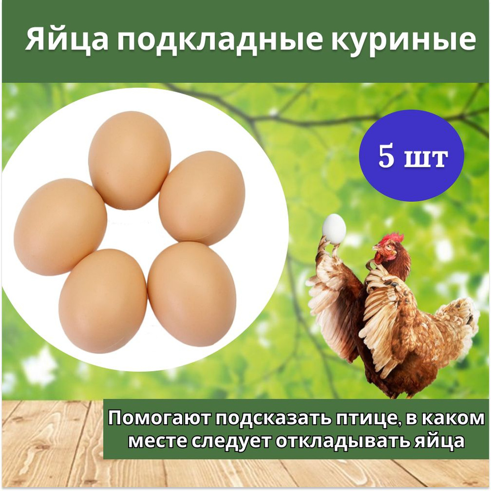 Яйцо подкладное куриное ( муляж) 5 шт #1