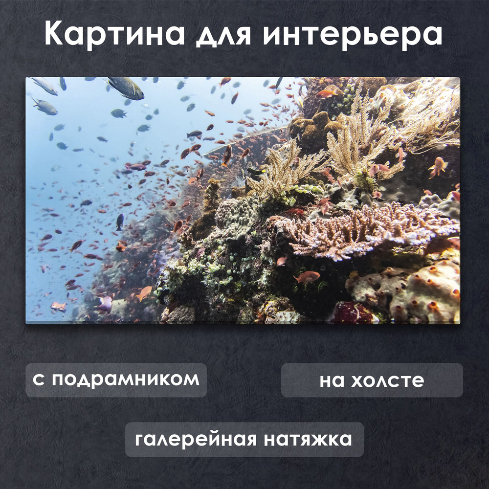 Картина для интерьера с подрамником на холсте на стену Коралловый риф под водой  #1