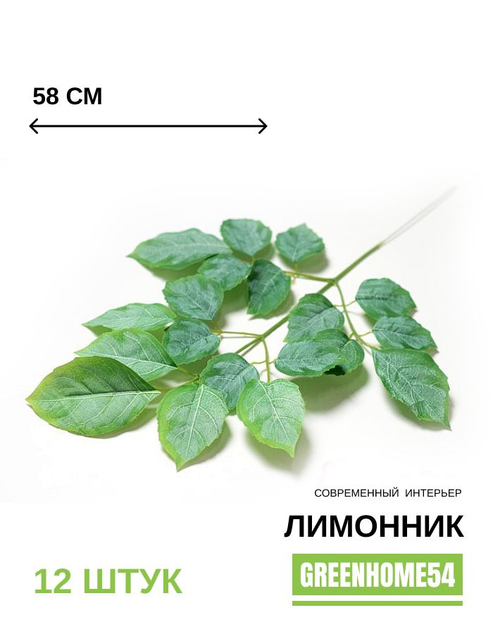 GreenHome54 Ветка, шишка декоративная,12шт #1