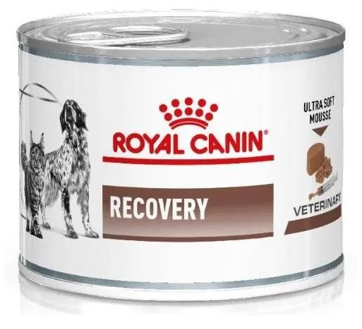 Royal Canin Recovery (мусс). Влажный диетический корм для взрослых собак и кошек при анорексии и в период #1
