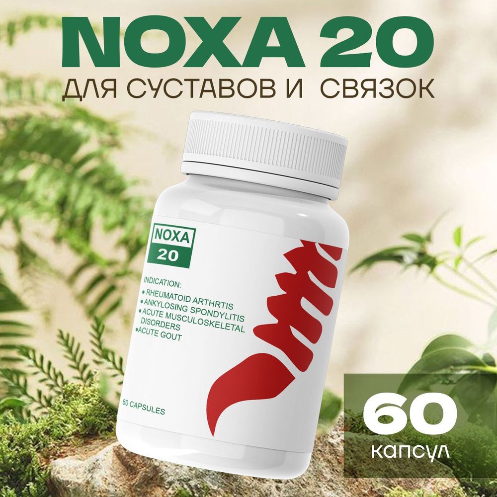 Средство для суставов NOXA 20 / Ноха 60 капсул #1