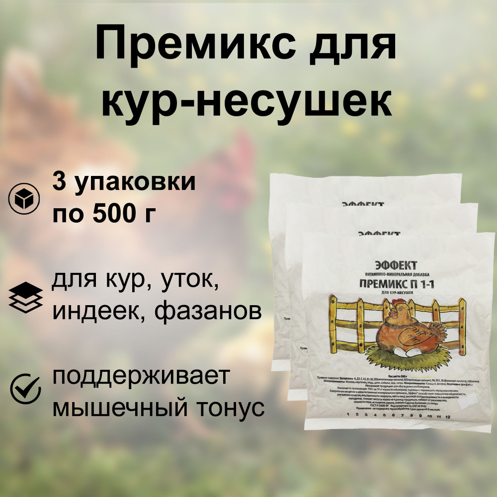 Премикс для кур-несушек 500гр (3 упаковки) - натуральная добавка, которая насыщает организм птиц питательными #1