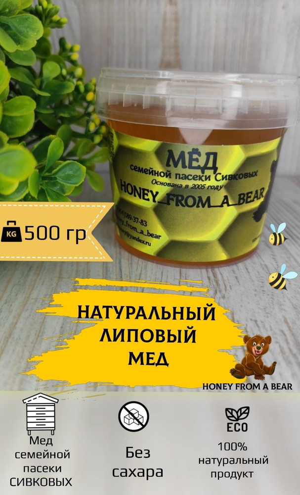 натуральный липовый мед 500гр , северный липовый мёд, мед семьи Сивковых  #1