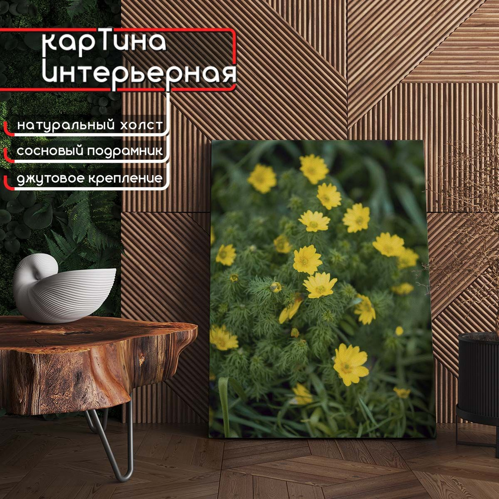 Картина интерьерная на холсте, вертикальная - Адонис весенний 22x30 см  #1