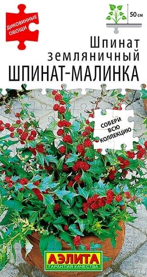 ШПИНАТ ЗЕМЛЯНИЧНЫЙ Шпинат-малинка. Семена. Одновременно и овощ, и фрукт. Ботаническое имя культуры марь #1