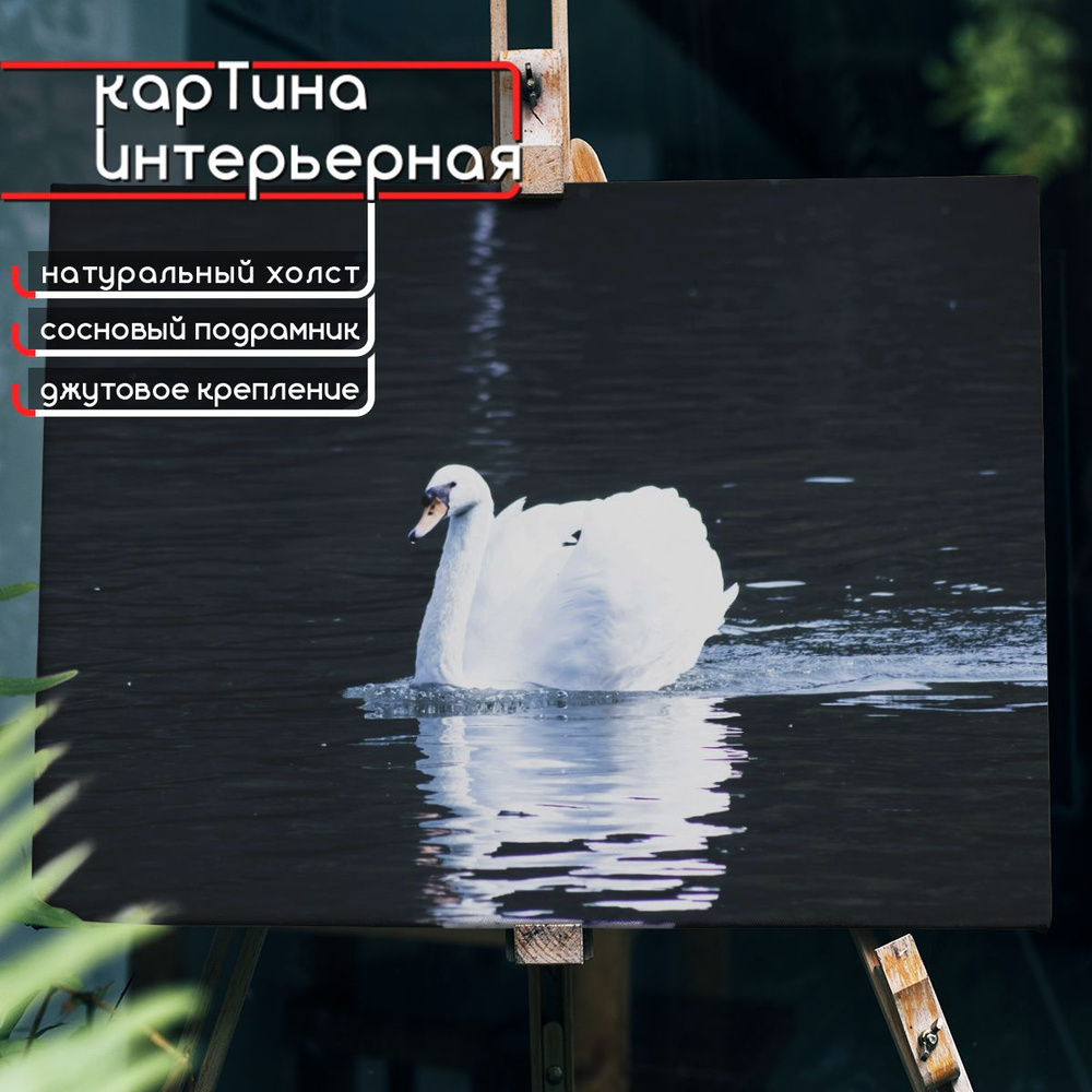 Картина интерьерная на холсте, горизонтальная - Дикий белый лебедь на озере 75x100 см  #1