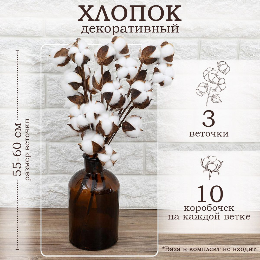 Handy Plants Букет из сухоцветов, 59 см, 240 гр, 30 шт #1