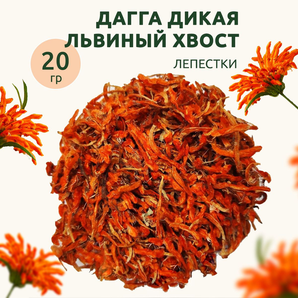 Дикая Дагга Leonotis leonurus Wild dagga лепестки 20 гр #1