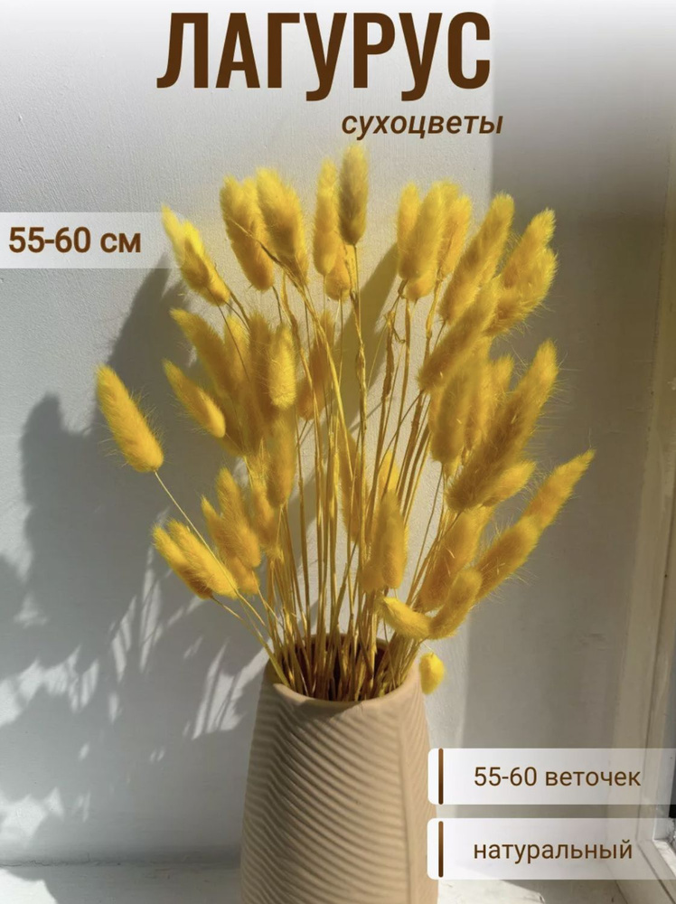 CRISPA FLOWERS Сухоцветы Лагурус, 60 см, 55 шт #1