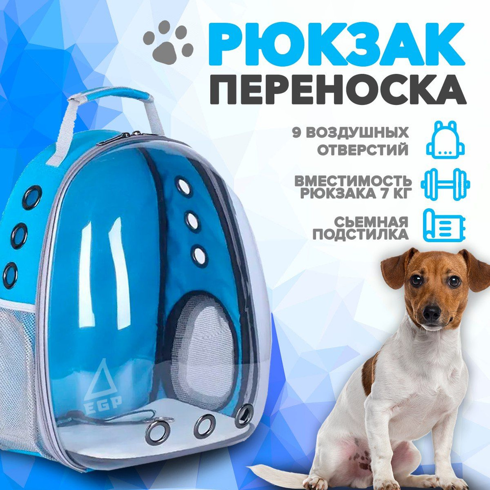 Рюкзак для животных Синий с прозрачной дверцей / Для мелких и средних пород  #1