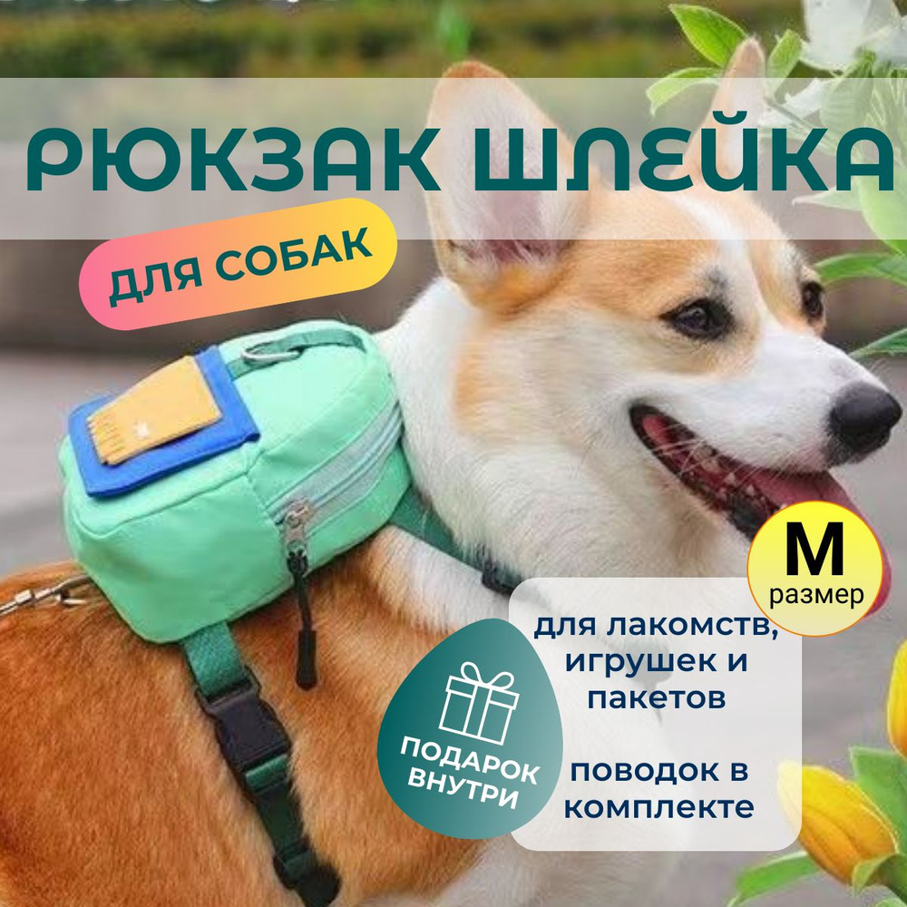 Рюкзак-шлейка для собаки / шлейка с рюкзаком / шлейка с поводком  #1