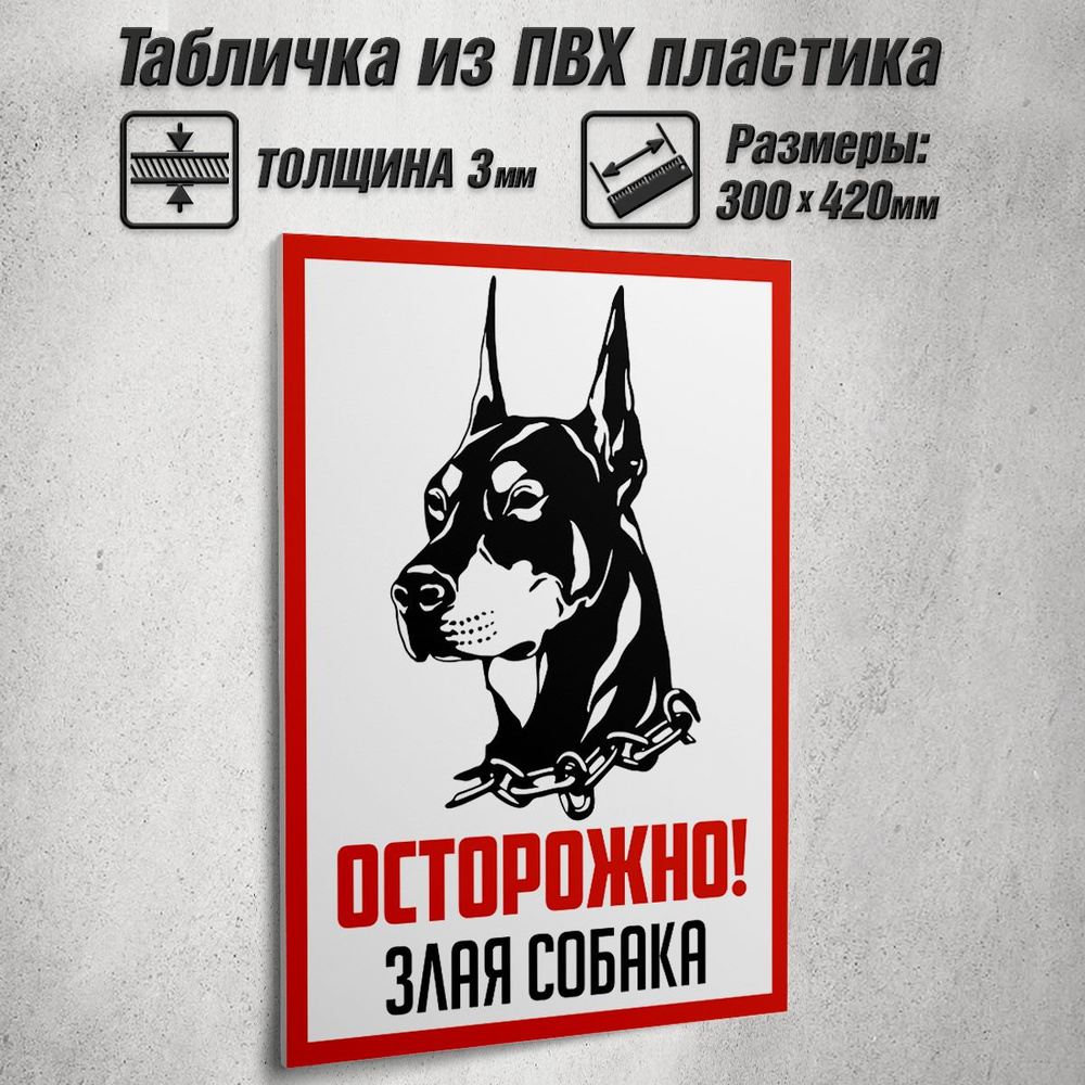 Информационная табличка "Осторожно! Злая собака" / 30x42 см.  #1