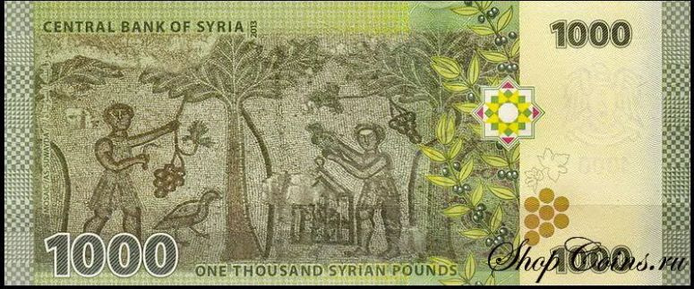 Банкнота 1000 фунтов, СИРИЯ, 2013г., UNC #1