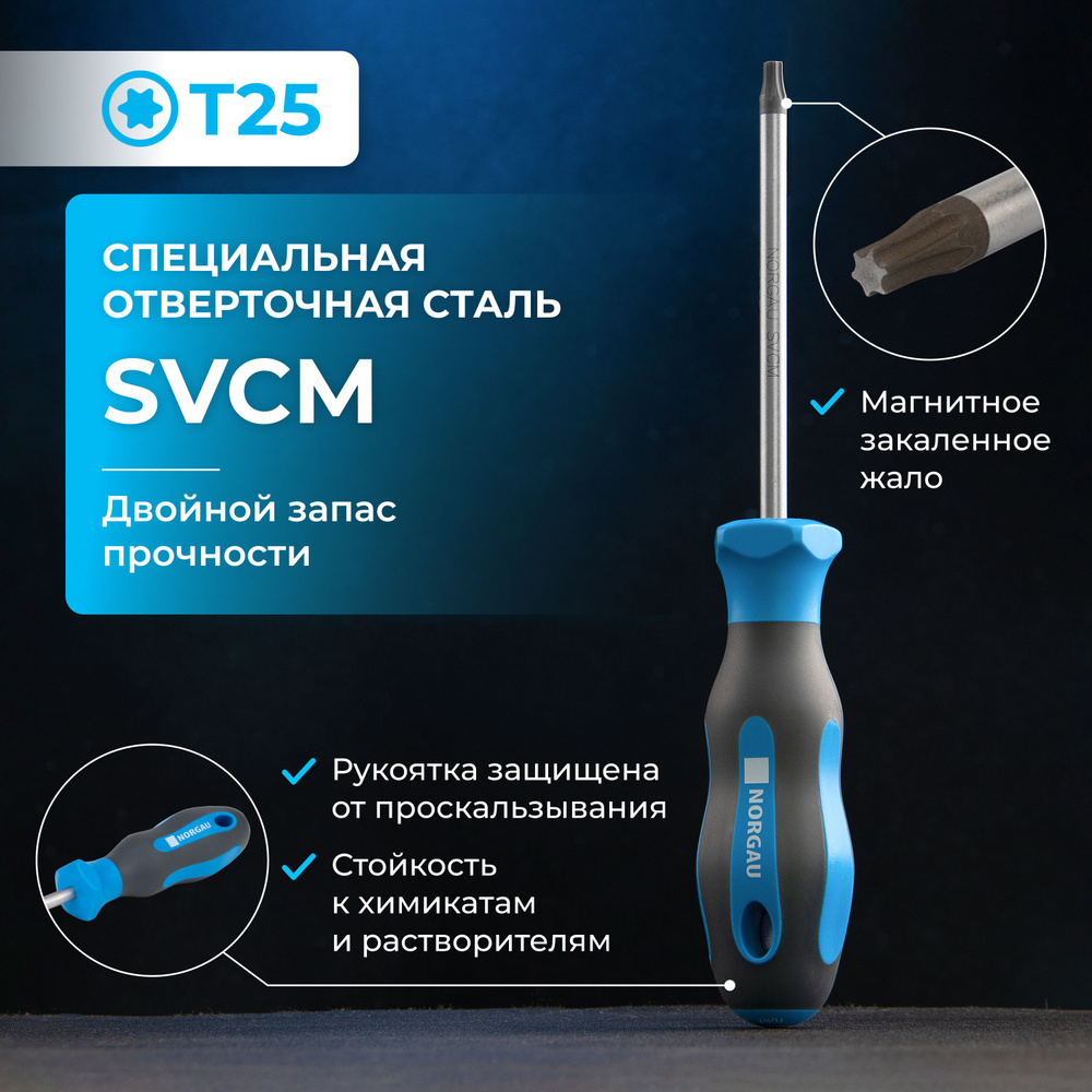 Отвертка Torx NORGAU Industrial из стали SVCM Т25 #1