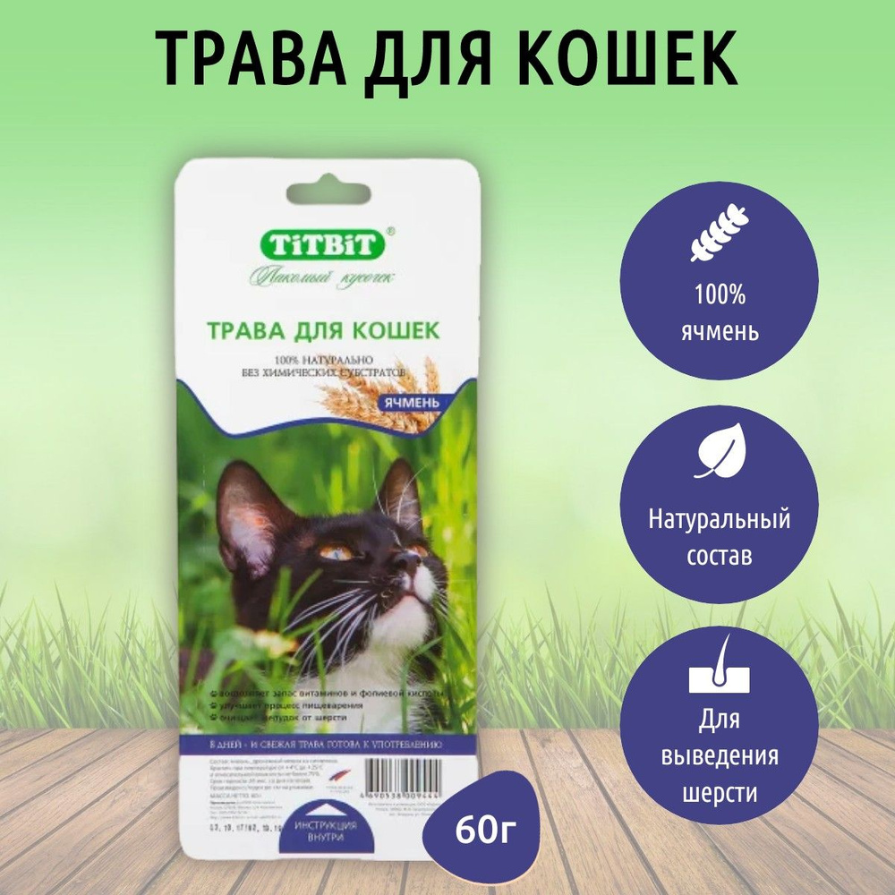 Трава для кошек ячмень TiTBiT 60 г. ТитБит #1