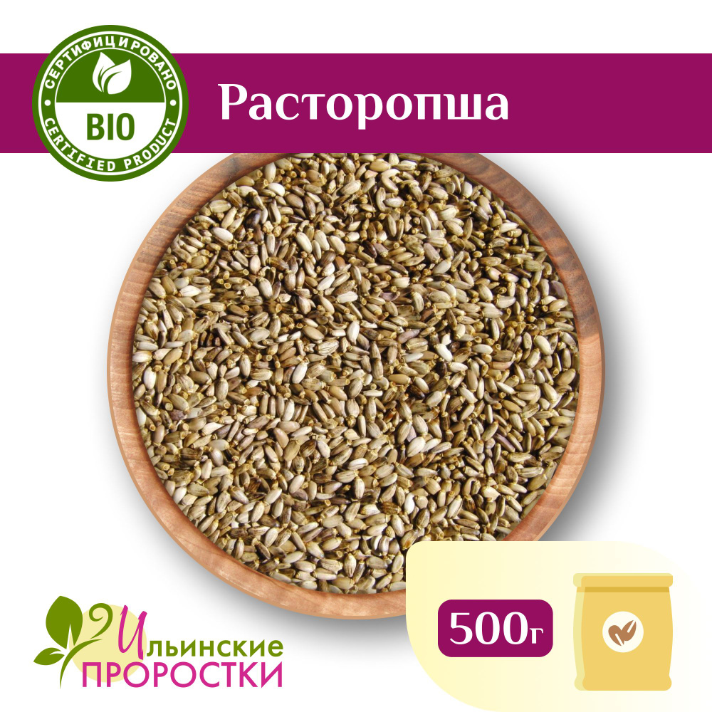 Расторопша, семена для проращивания 500 г #1