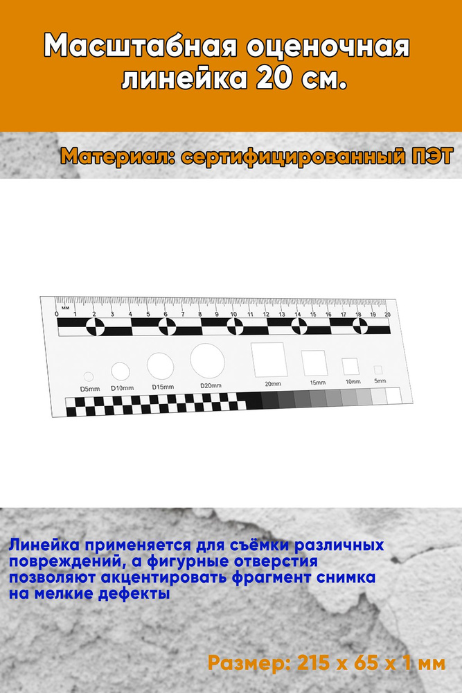 Масштабная оценочная линейка, ч/б 20 см. #1