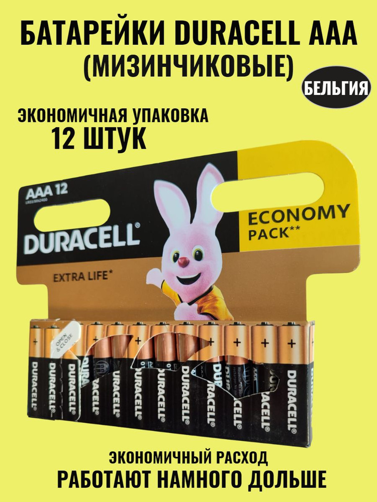 Батарейки мизинчиковые Duracell Basic AAA щелочные (алкалиновые), 1,5В, 12шт  #1