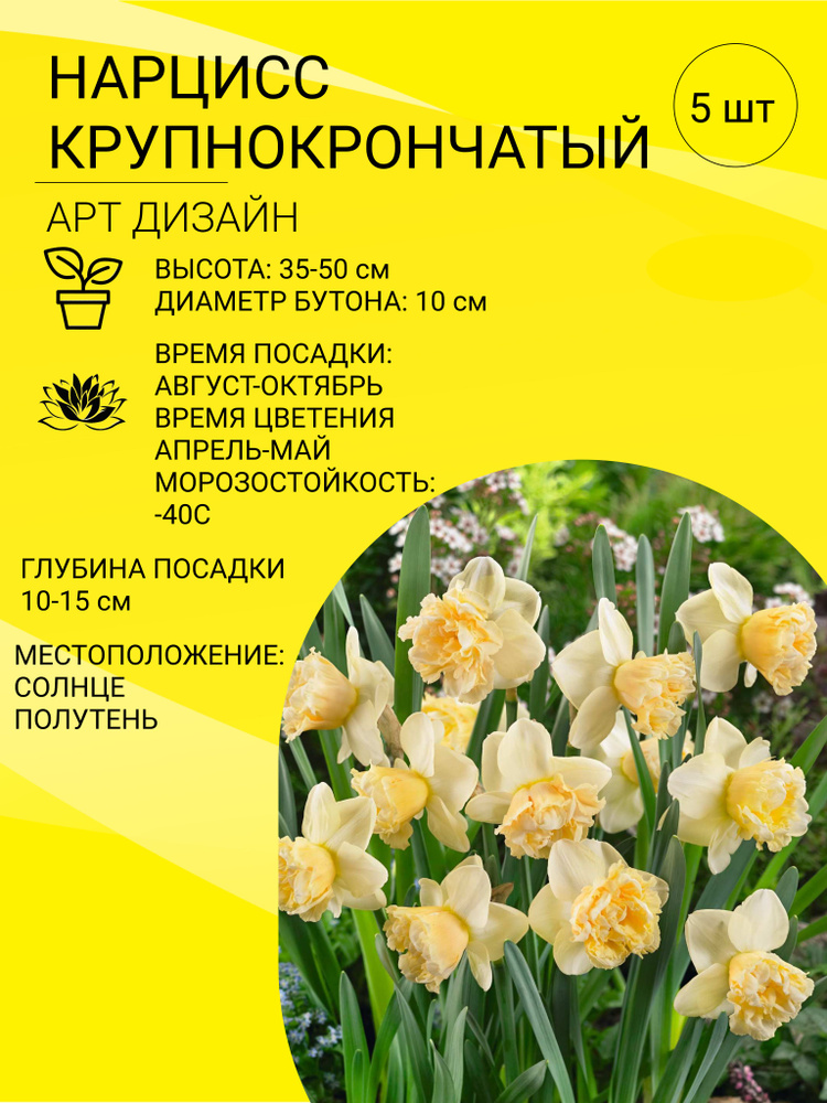 Нарцисс крупнокорончатый, луковицы 5 шт #1