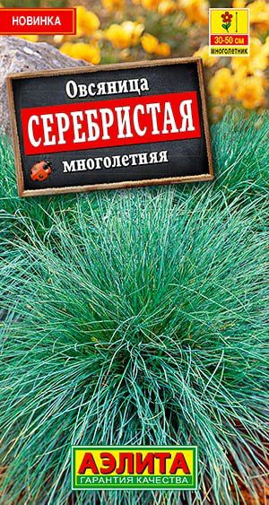 Семена Овсяница Серебристая многолетняя #1