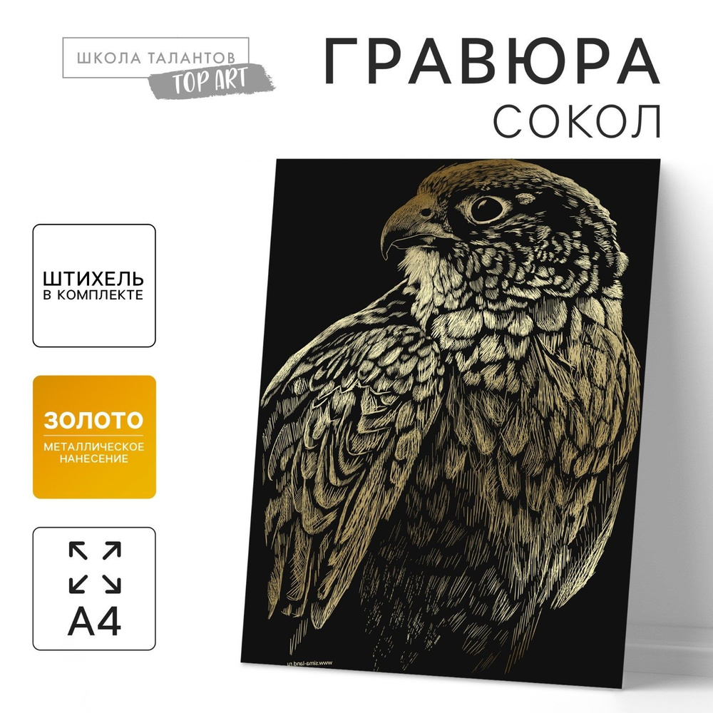 Гравюра Школа талантов "Сокол" золото, А4, птица поделка, для детей и взрослых  #1