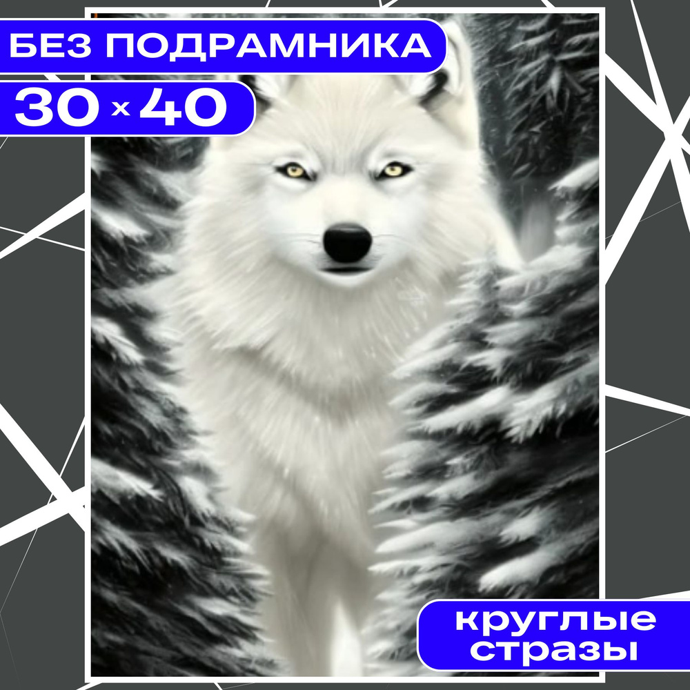 Алмазная мозаика вышивка 30х40 БЕЗ ПОДРАМНИКА BILMANI "Волк", алмазная картина стразами  #1