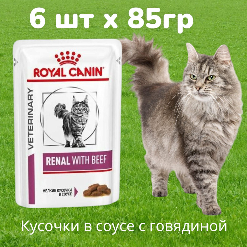 Корм влажный ветеринарный Royal Canin Renal with Beef для кошек при заболеваниях почек Ренал с Говядиной #1