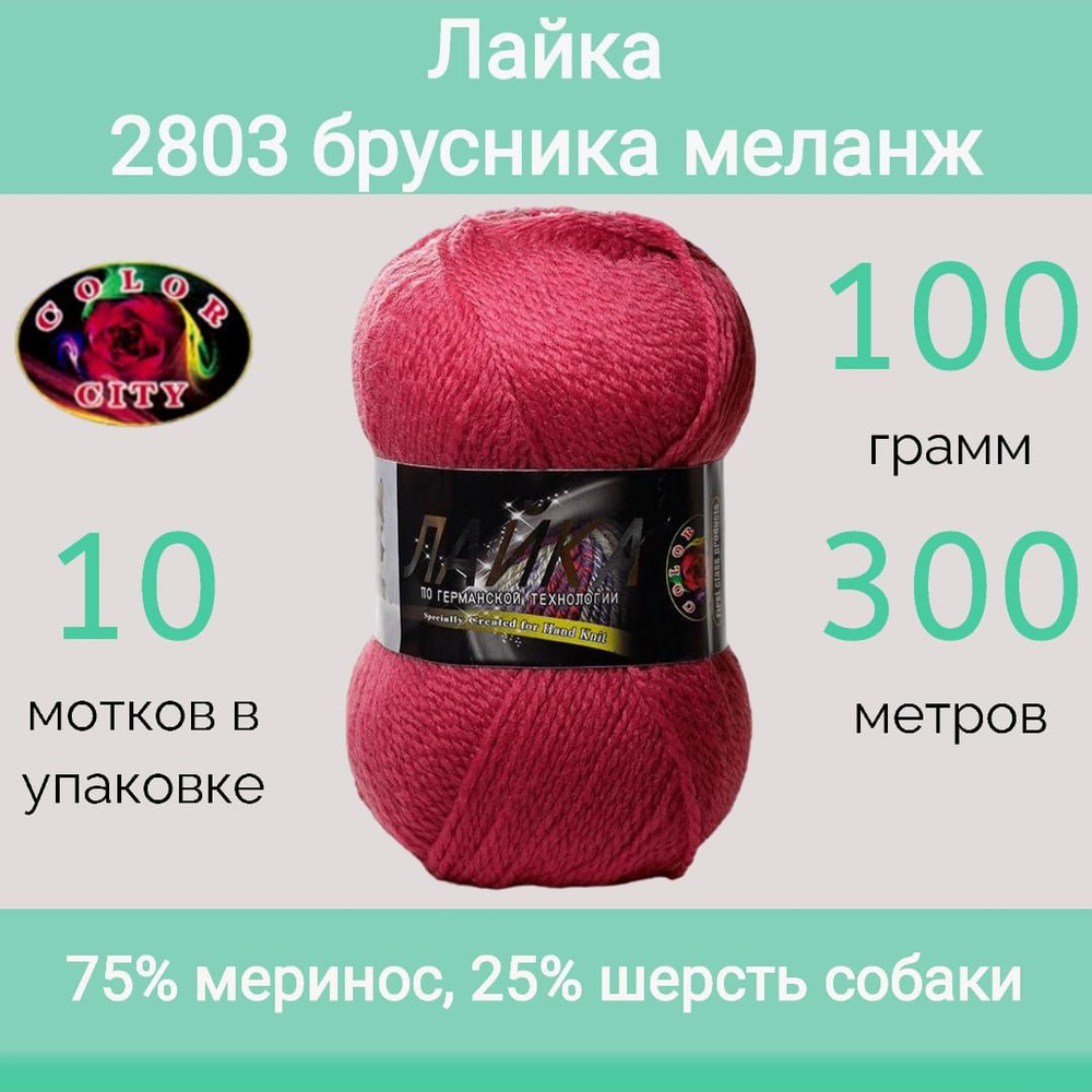 Пряжа Color City Лайка цвет 2803 брусничный (100г/300м, упаковка 10 мотков)  #1