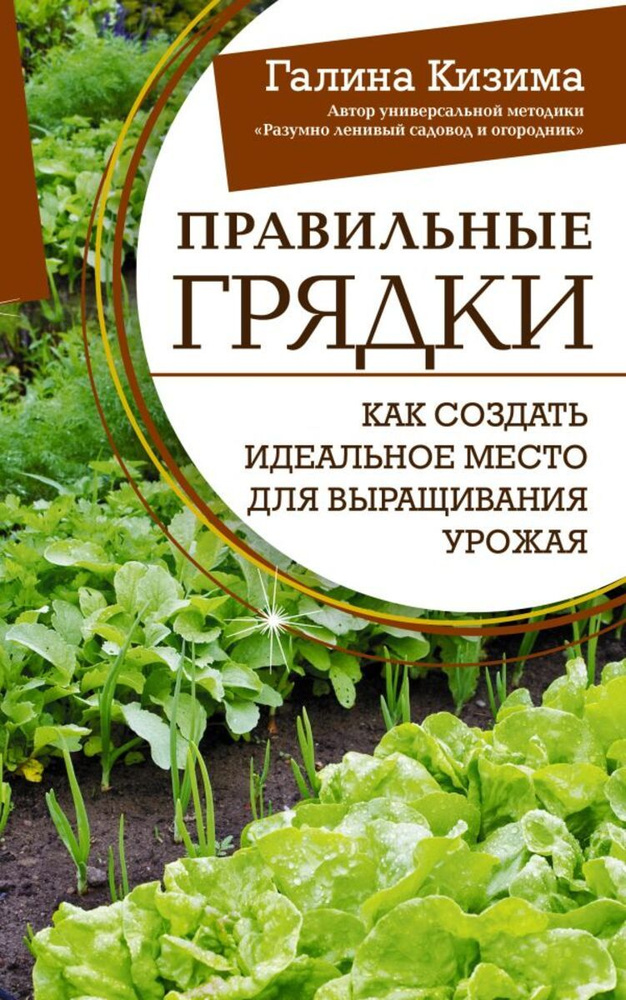 Правильные грядки. Как создать идеальное место для выращивания урожая  #1