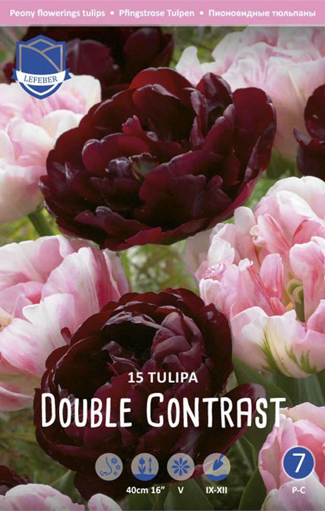 Тюльпан Дабл Контраст смесь (Tulipa Double Contrast), 15 шт #1