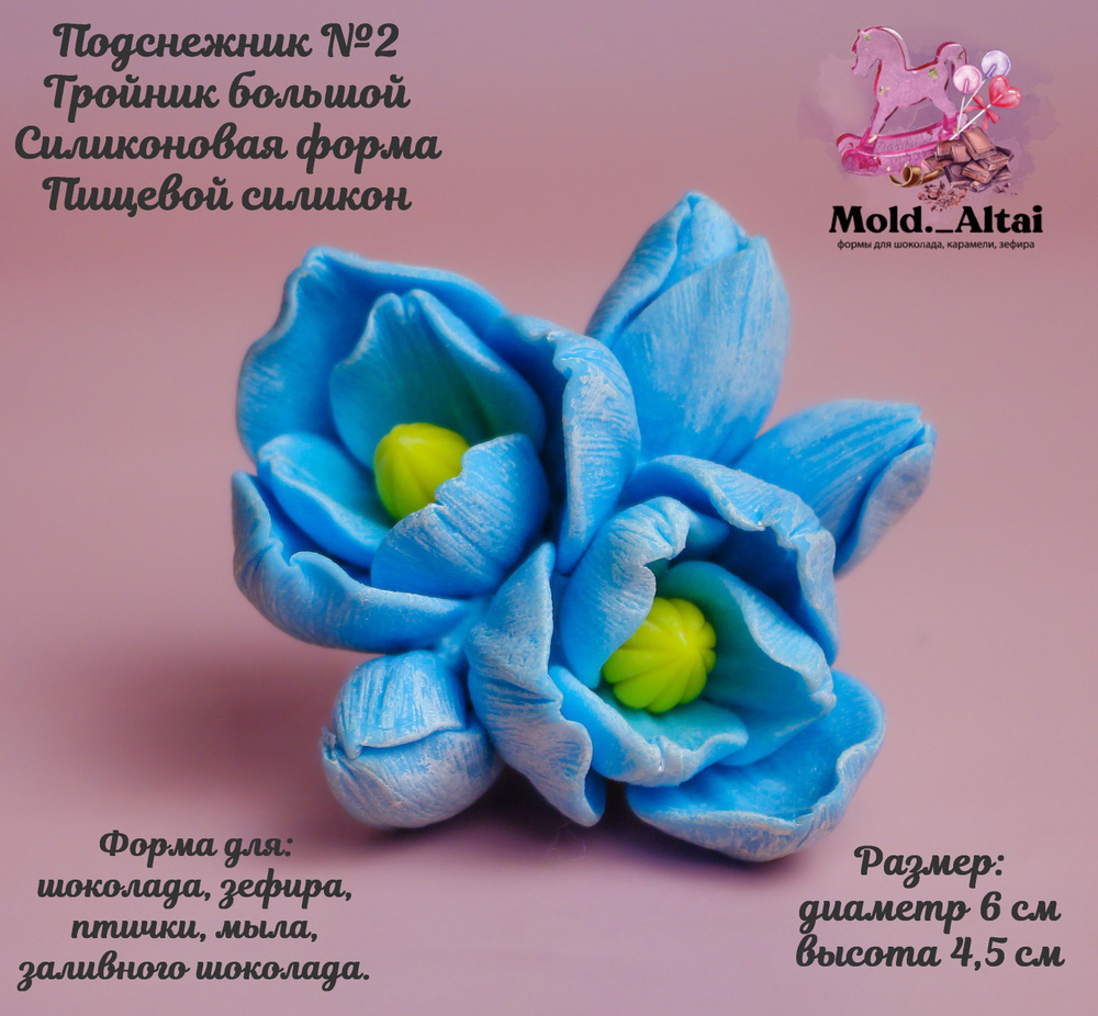 Mold.Altai Форма для мармелада, 5 яч, 1 шт #1